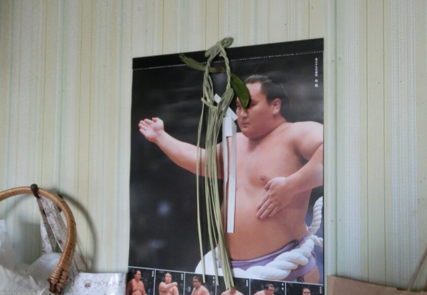 sumo kalendar in my kitchen