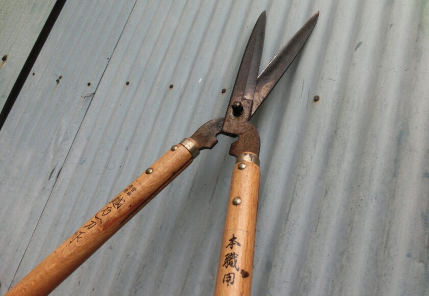 Japanese garden maintenance Manipulation with Japanese scissors